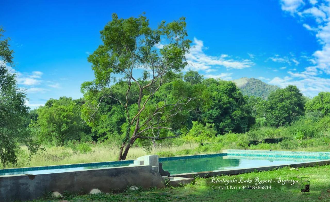 Ehalagala Lake Resort 锡吉里亚 外观 照片
